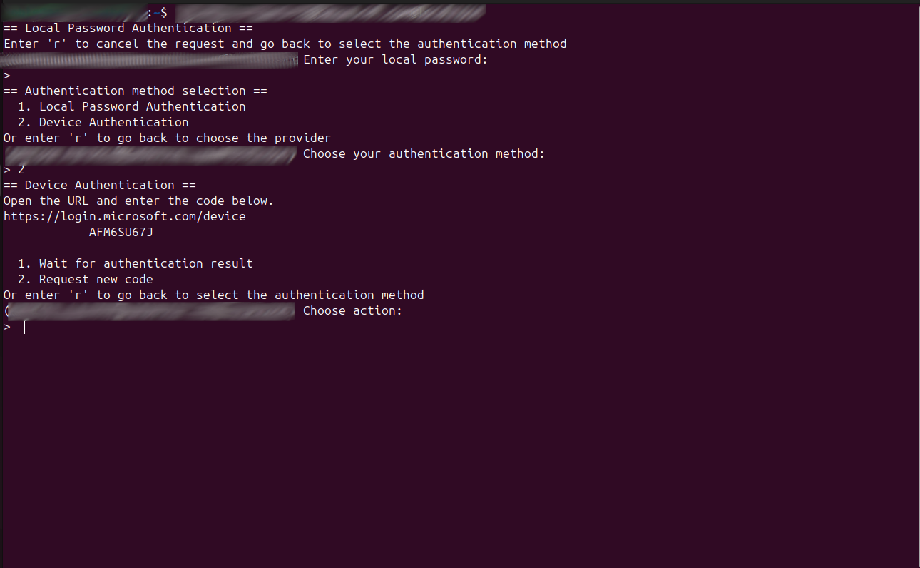 Terminal interface showing option to authenticate by login code when user tries to ssh into server